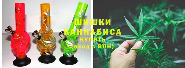 мдпв Пестово