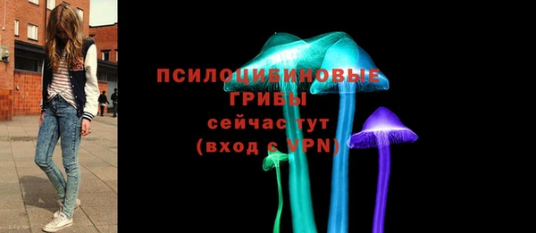 хмурый Абинск