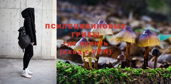 мет Абаза