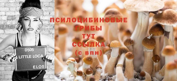 мет Абаза