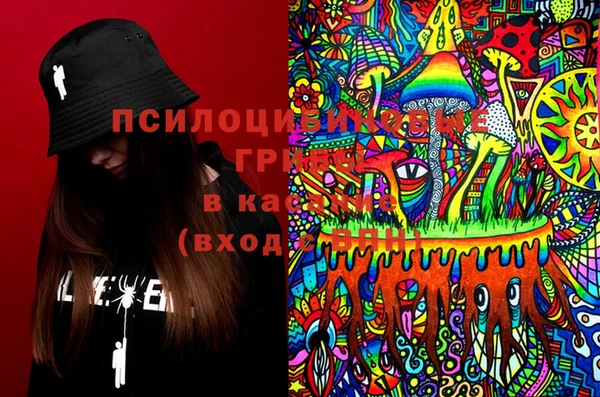 хмурый Абинск